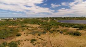 Discover Nature on Nantucket — Linda Loring Nature Foundation