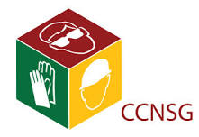 CCNSG Safety Passport Training Course