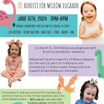 Willow Lugrain Fundraiser – Grand Ballroom