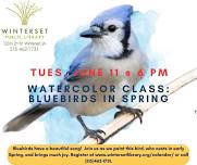 Watercolor Class: Bluebirds in Spring