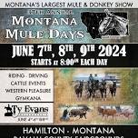 Montana Mule Days