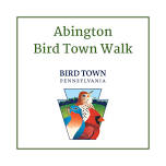 Abington Bird Town Walk