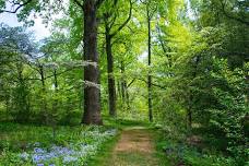 Planting the Woodland Edge