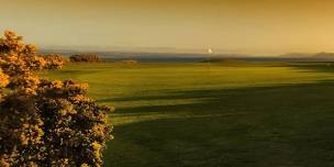 Fortrose Gents Singles Strokeplay