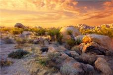 Nature Walks at Grand Junction Plaza