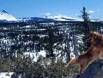 Snowshoe up Potato hill for spectacular views of the cascades