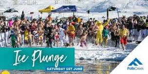 Ice Plunge Falls Creek x Fight MND