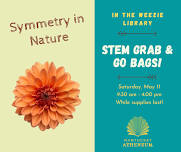 STEM Grab %26 Go Bag: Symmetry in Nature