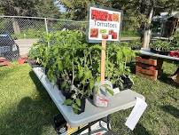 Mountain Brook Community Center’s 4th Annual Plant Sale