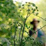 Forage and Cook - Lancashire