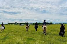 Horsemanship Teens & Pre Teens Camp