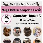 Mega Kittens Adoption Event