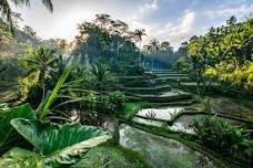 Private Romantic Ubud Tour: An Exclusive Love Journey Through Bali's Cultural Heart