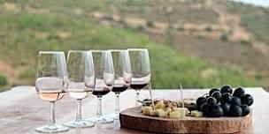 Valle de Guadalupe Wine Tasting