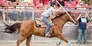 Gaming Horse Show King Co 4-H