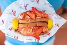 Cousins Maine Lobster   at Shorewood - Will County Brewing Company