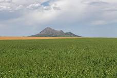 West River Research Farm Field Day