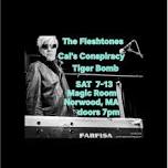 The Fleshtones (NY)