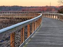 Neabsco Creek Boardwalk to Leesylvania State Park (Rating: B)