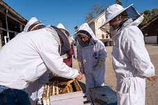 Apiary Meeting