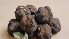 Truffle and Wine Dinner: The First of the Season