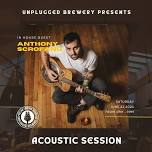 Anthony Scrofano LIVE at Unplugged Brewing Co.