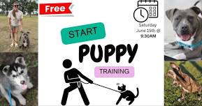 Puppy Training (FREE Dog Training Class)