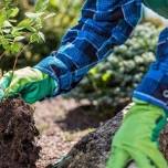 Dementia-Friendly Gardening Workshop