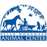 25th Annual Therapeutic Riding Horse Show