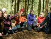 18th November 2024 - Level 3 Forest School Practitioner Training @ Grizedale, Cumbria (Herb Robert)