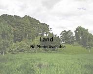 Auction Agricultural Land in Bentong Pahang for RM810000