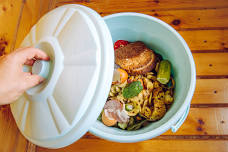 Composting: Breaking Down the Basics