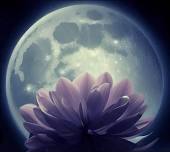 Full Flower Moon Sound Bath