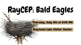 RayCEP: Bald Eagles at the Raystown Lake Visitor Center