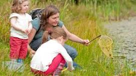 Dyke Dipping at NWT Hickling Broad