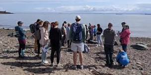 Seaside Science! - Refugee Festival Scotland