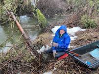 NSEA Stream Team – Old Hutchinson Creek