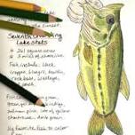 Fish-Inspired Sketch Booking