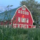 The Yoga Barn Day Retreat