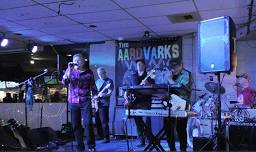 The Aardvarks @ Peabo's Sports Bar & Grill