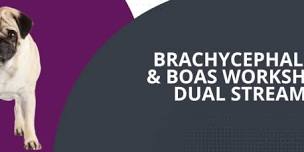 Brachycephalic & BOAS Workshop