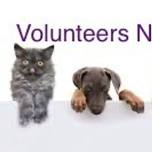 New Volunteer Outreach