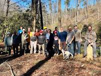 Clear Rice Camp Trail - Cohutta Wilderness