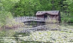 Wildflower Island Guided Tours