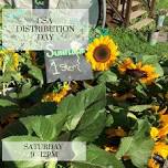 CSA Disribution Day — Poughkeepsie Farm Project