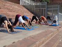 200 Hour Yoga Teacher Training  in Rishikesh