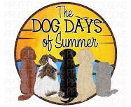 Dog Days of Summer! Hot Dog Fundraiser