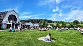 Watch the Solar Eclipse on the Lawn