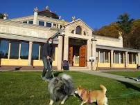 Dog-friendly activities in Sullivan County NY Upstate NY at Kadampa Temple