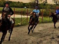 The Dallas Polo Club: Polo Lessons & Scrimmages